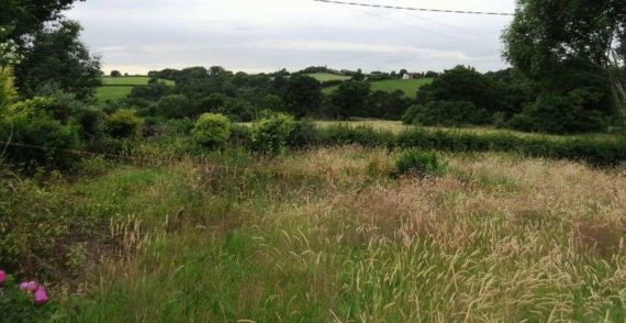 Llangua Abergavenny, NP7 8HD